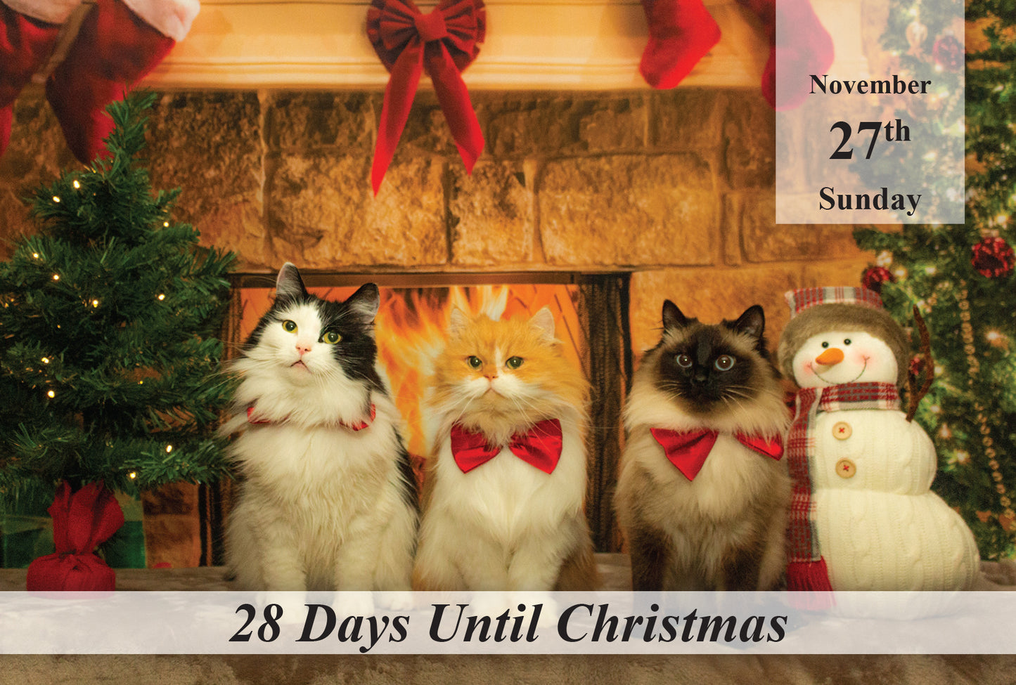 100 Day Christmas Countdown Calendar - Cats