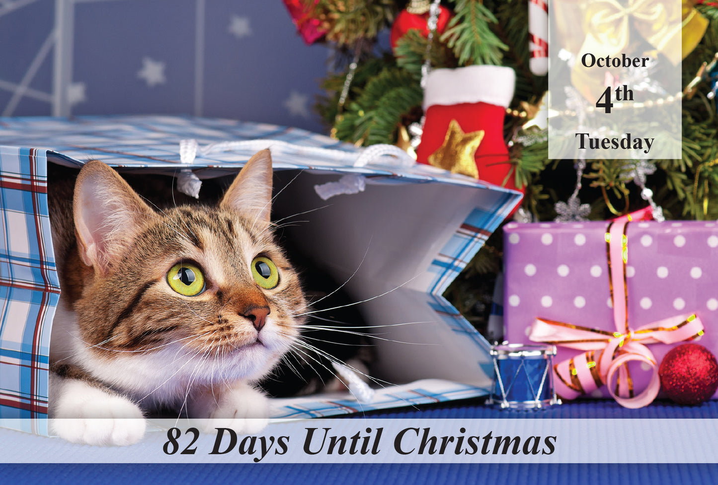 100 Day Christmas Countdown Calendar - Cats