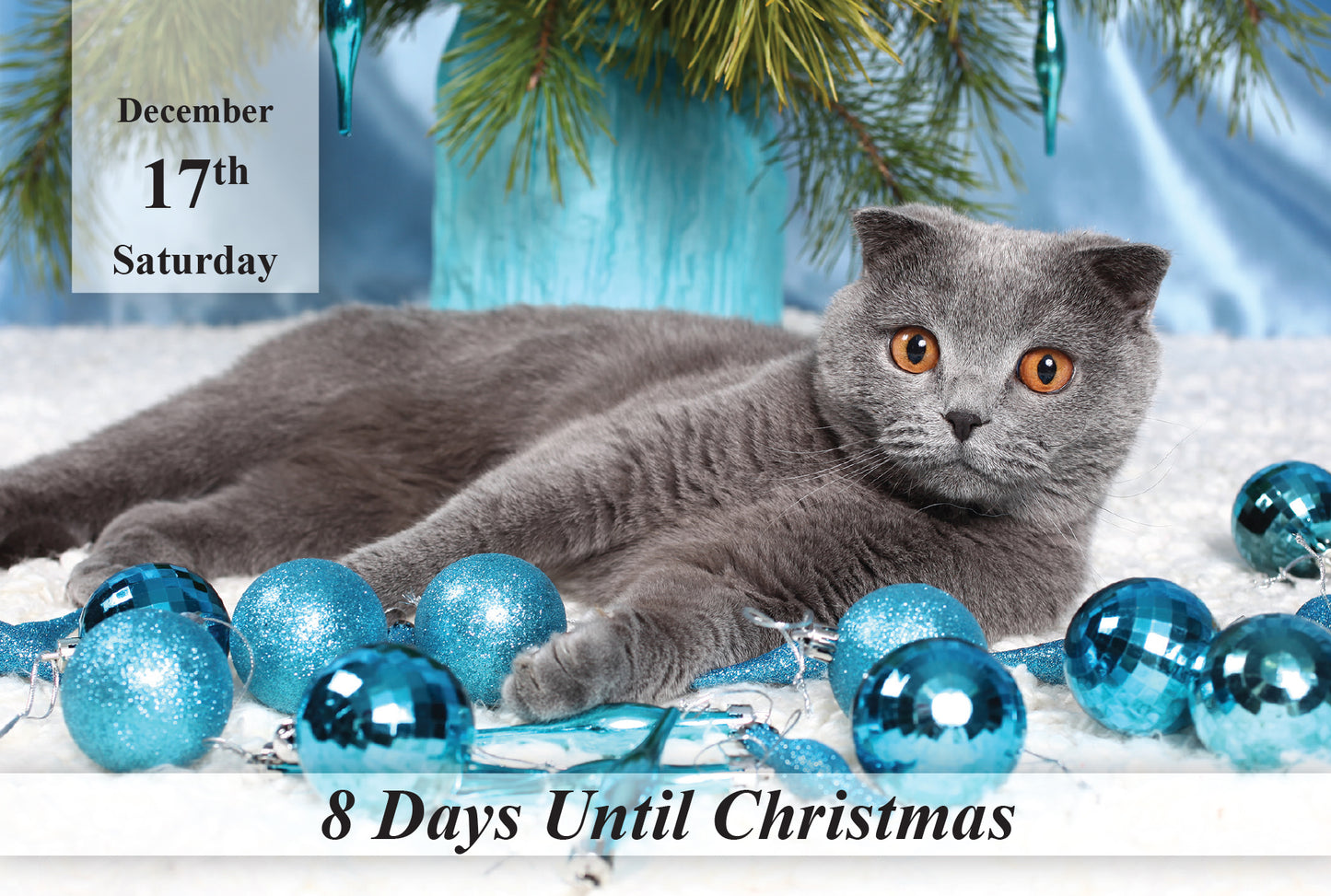 100 Day Christmas Countdown Calendar - Cats