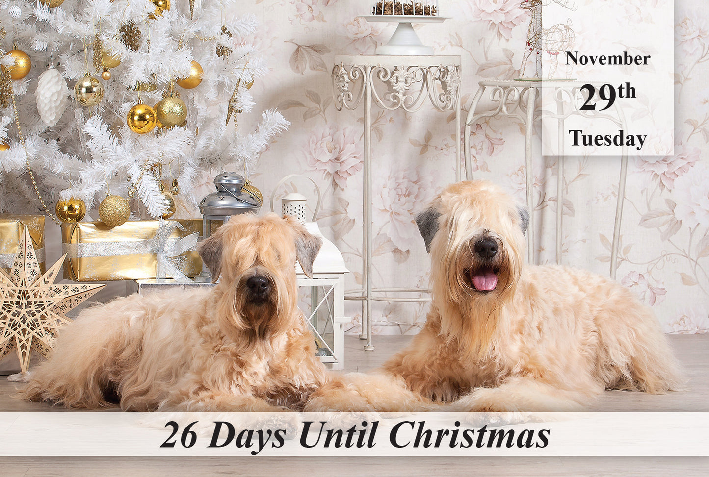 100 Day Christmas Countdown Calendar - Dogs