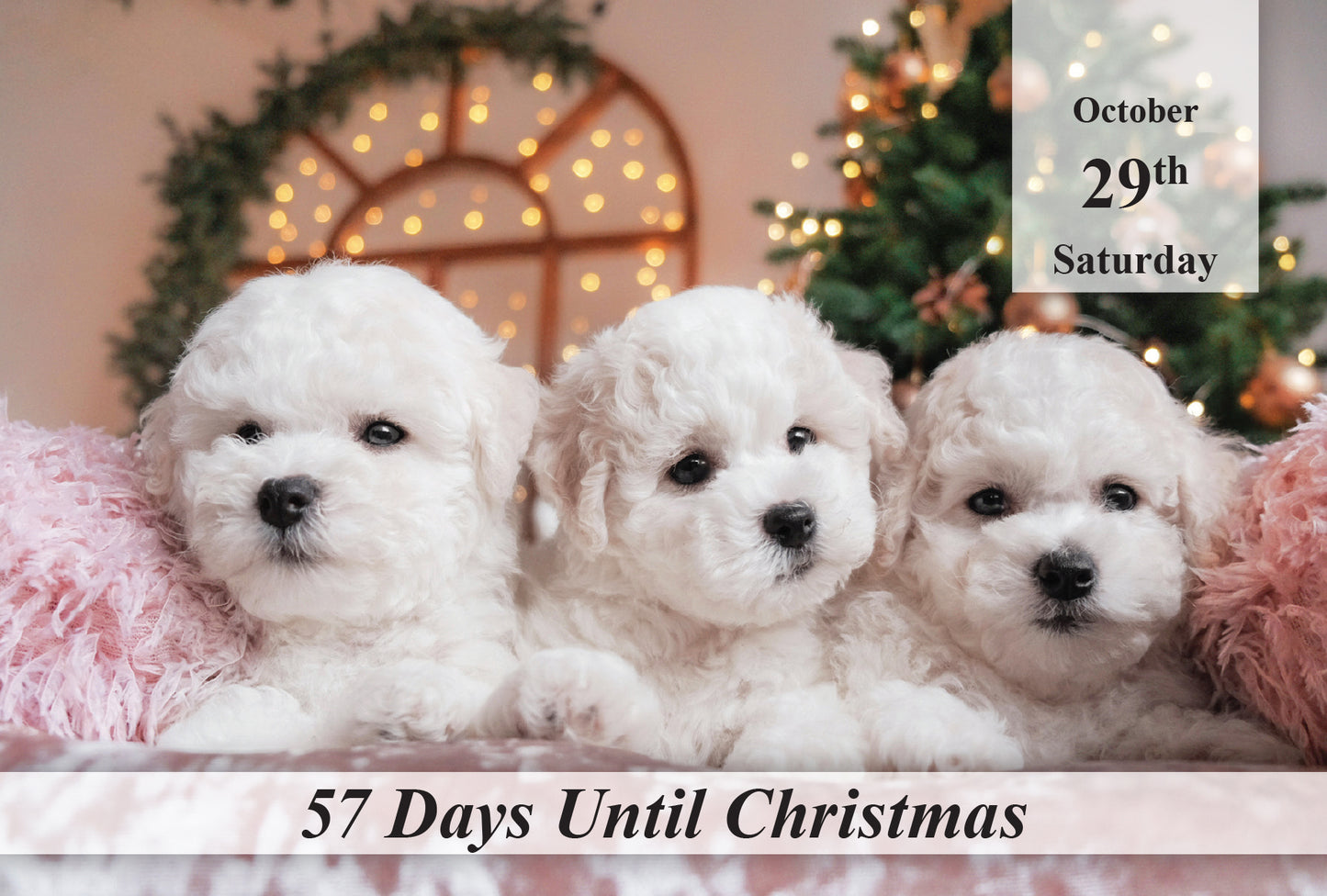 100 Day Christmas Countdown Calendar - Dogs