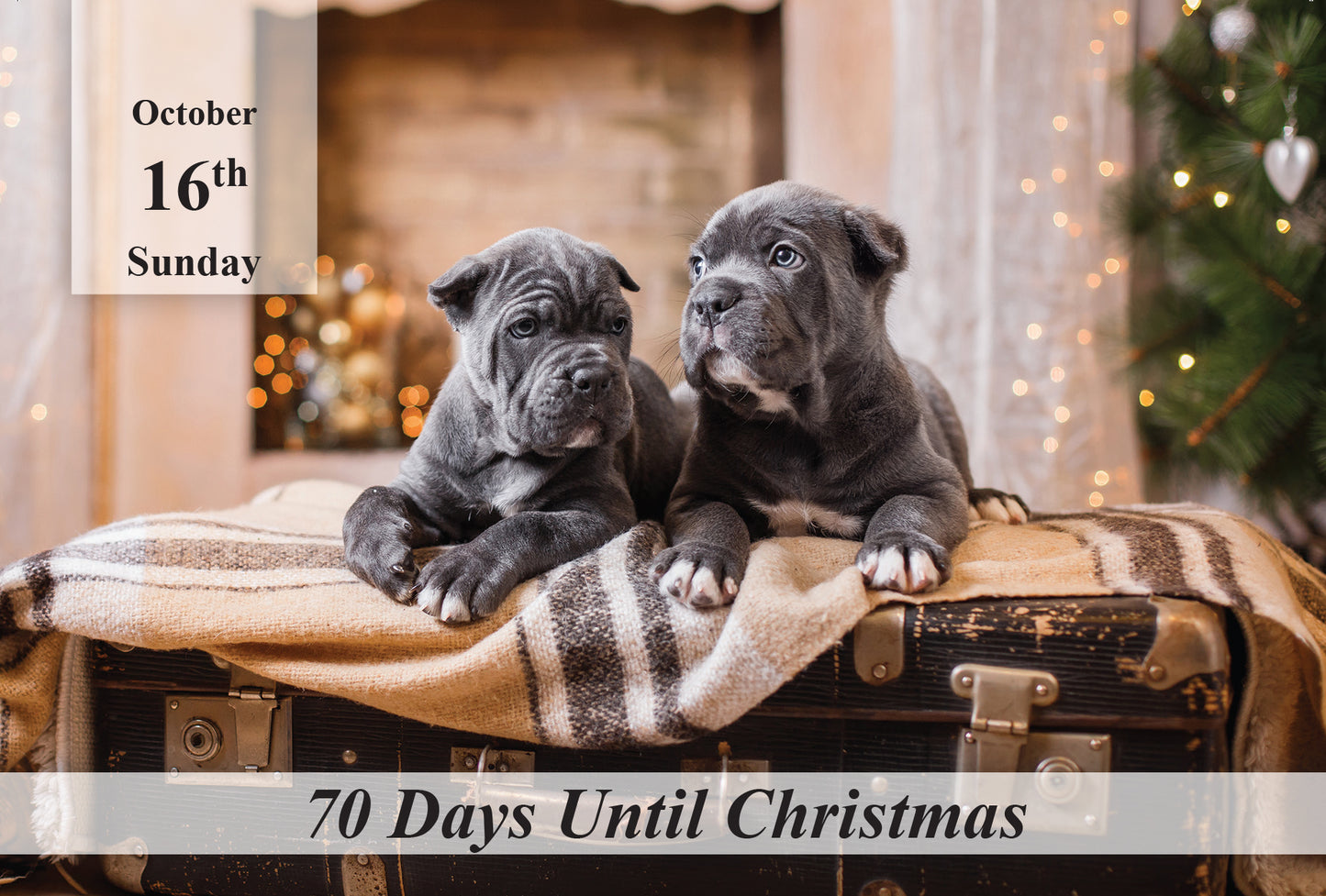 100 Day Christmas Countdown Calendar - Dogs