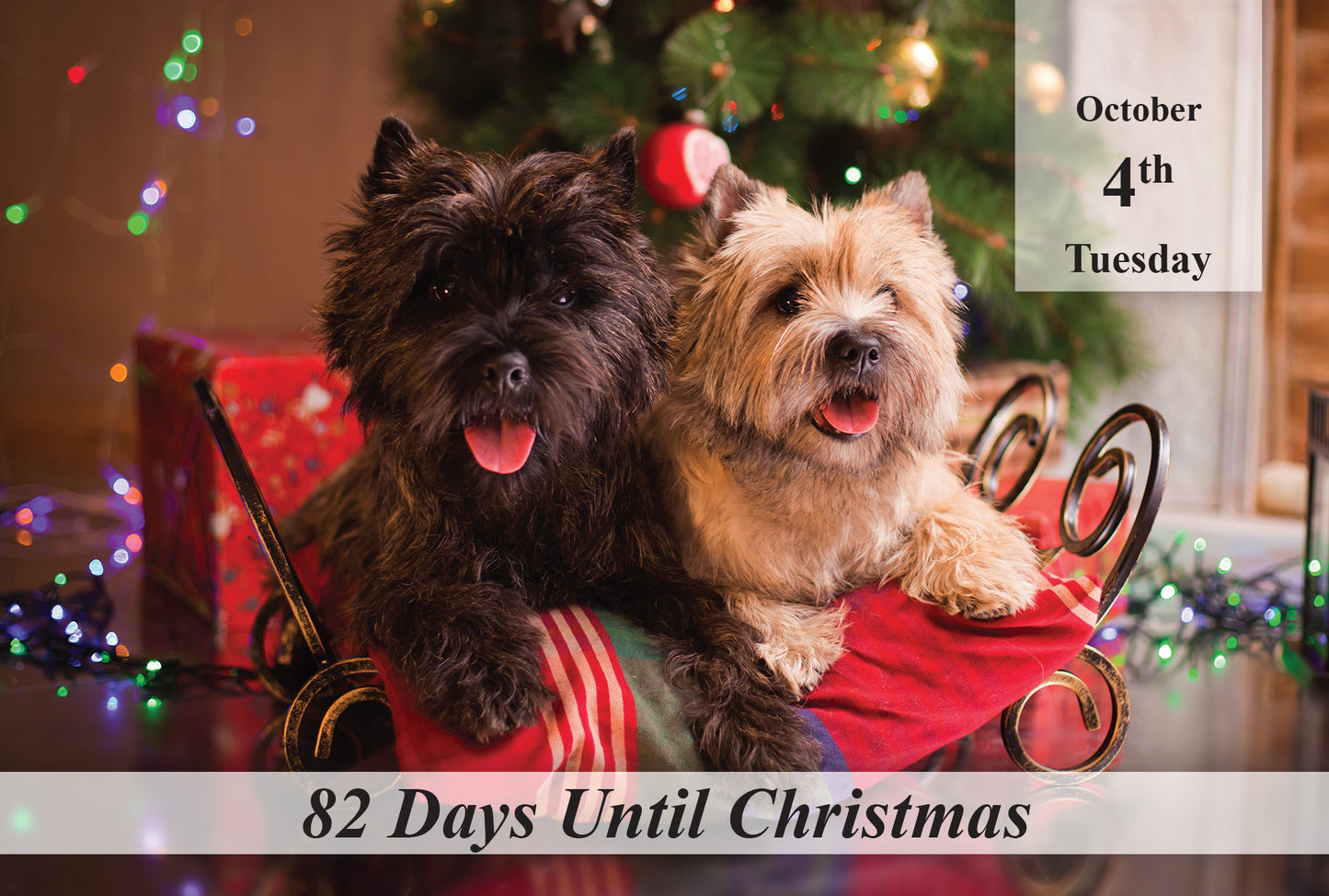 100 Day Christmas Countdown Calendar - Dogs