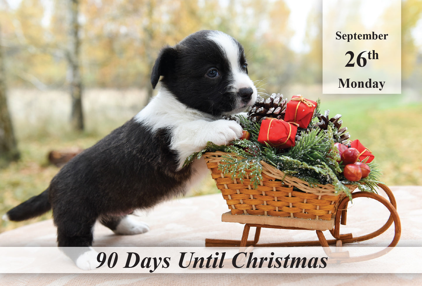 100 Day Christmas Countdown Calendar - Dogs