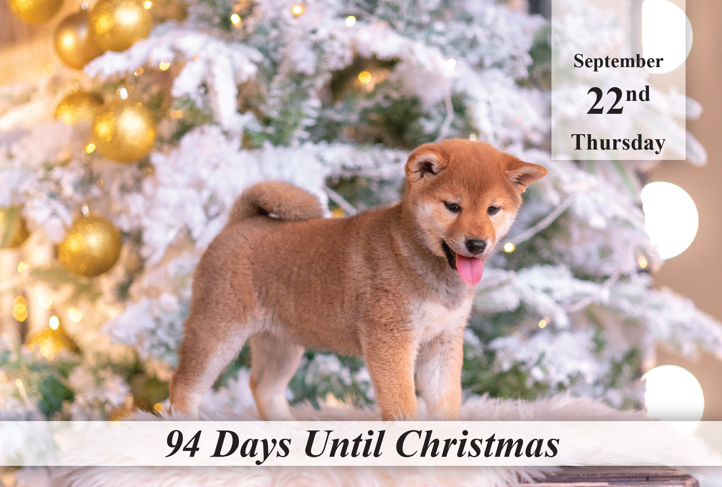 100 Day Christmas Countdown Calendar - Dogs