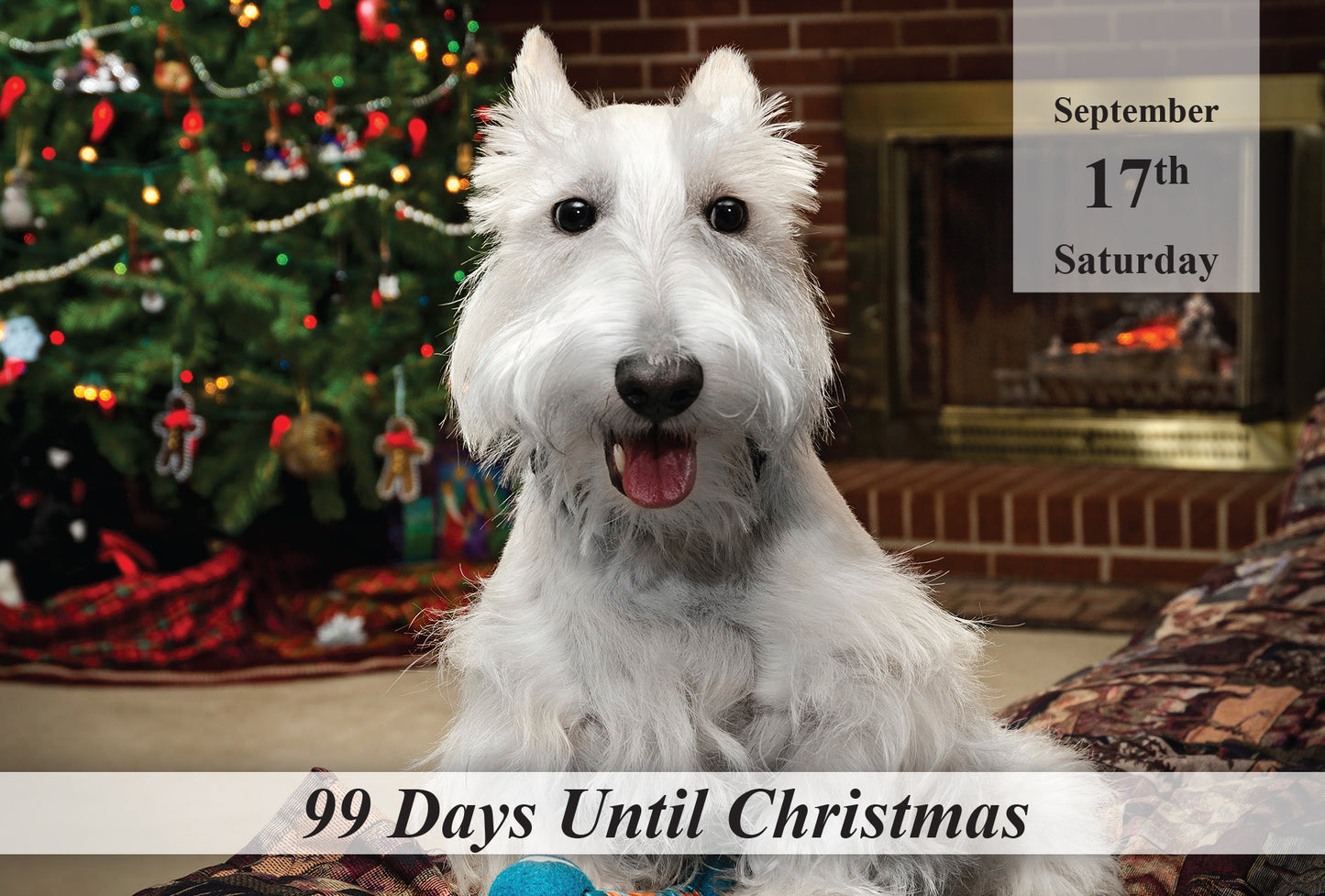 100 Day Christmas Countdown Calendar - Dogs