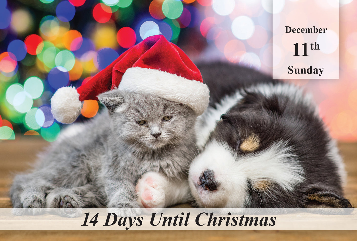 100 Day Christmas Countdown Calendar - Scenes
