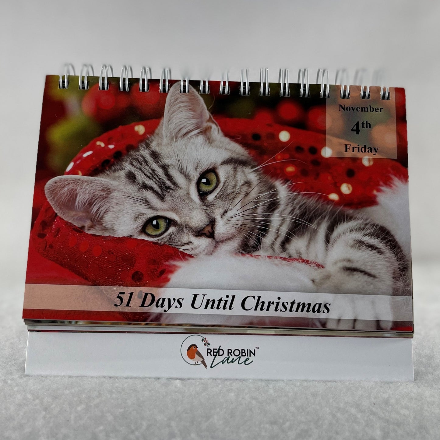 100 Day Christmas Countdown Calendar - Cats
