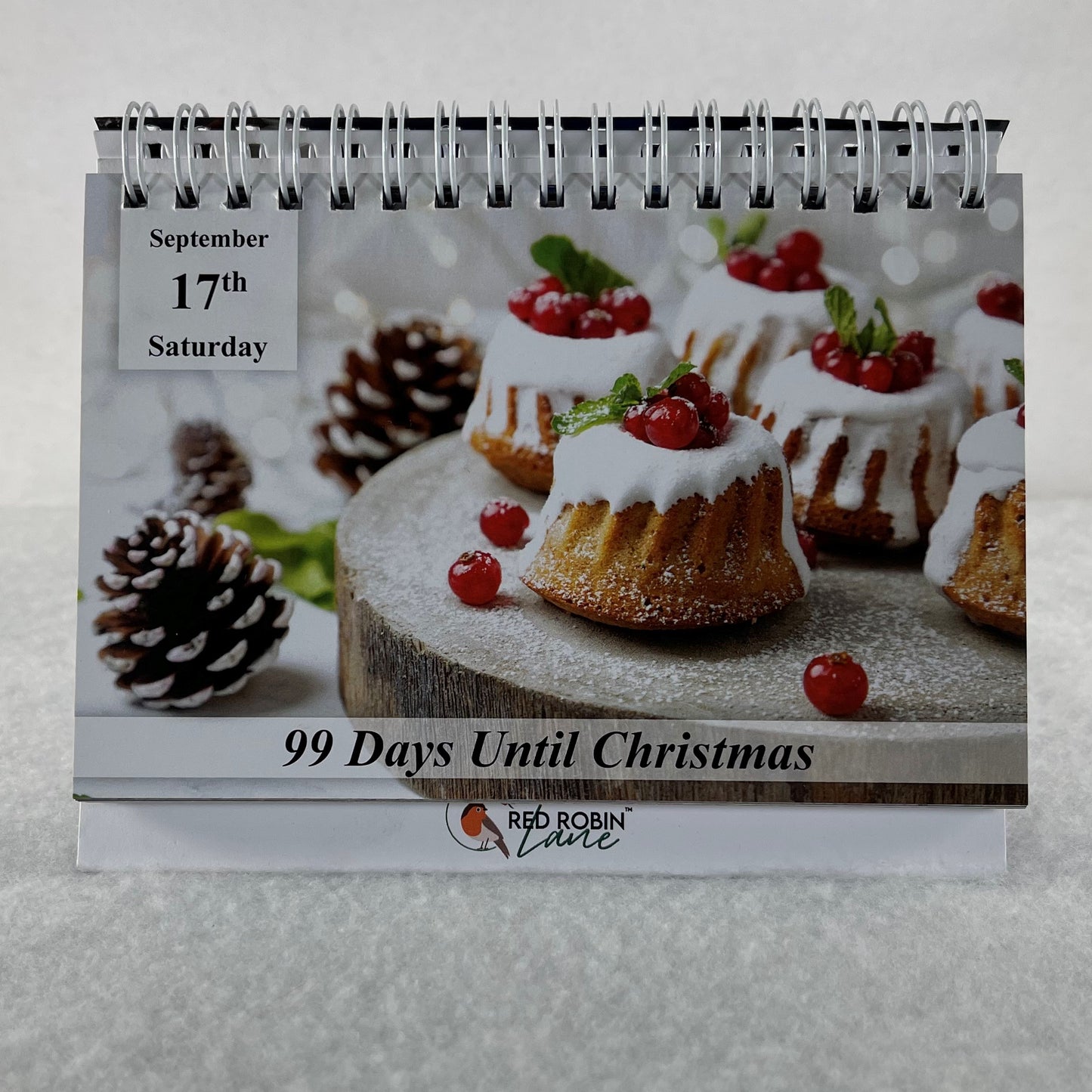 100 Day Christmas Countdown Calendar - Scenes